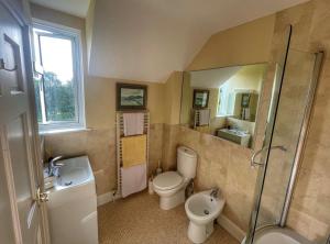 a bathroom with a toilet and a sink and a shower at Cherryford House in Gidleigh +16 photos