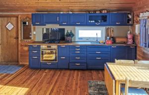 Pet Friendly Home In Snefjord With Sauna في Snøfjord: مطبخ أزرق مع موقد ودواليب زرقاء