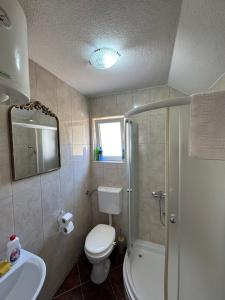 a bathroom with a toilet and a shower and a sink at Apartment Mountain Paradise Plav in Plav