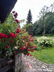 Vonkajšia záhrada v ubytovaní Roman Tarnawa "Nasz Domek"