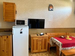 a kitchen with a microwave on top of a refrigerator at Studio Centre Vars Le Seignon in Vars