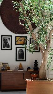 Fotografie z fotogalerie ubytování Riad Al Manara v destinaci Essaouira