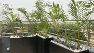 Photo de la galerie de l'établissement Urban One Apartments, Kumasi - Adinkrahene, à Kumasi