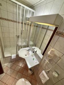 a bathroom with a white sink and a toilet at Pension & Metzgerei Friedrich in Trebgast