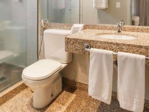 Um banheiro em Mercure Belo Horizonte Lourdes