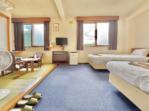 TV a/nebo společenská místnost v ubytování Hotel Sol at Lake Toya