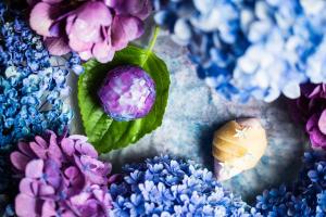 Foto sihtkohas Izu poolsaar asuva majutusasutuse LOQUAT西伊豆 galeriist