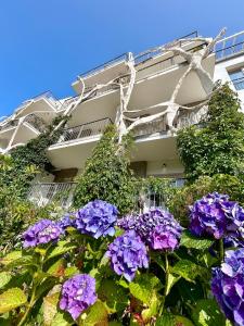 Zahrada ubytování Most Oliva Resort Budva