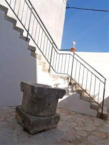 Fotografie z fotogalerie ubytování Apartments in Veli Losinj 14994 v destinaci Veli Lošinj