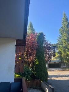 a view of a yard with trees and a fence at KEARL, studio neuf soleil et détente in Les Gets