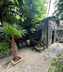 Κήπος έξω από το Cozy Second Floor with Yard , კომფორტული მეორე სართული ეზოთი +3 φωτογραφίες