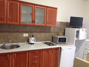 Kuchyň nebo kuchyňský kout v ubytování Apartments Svetlana