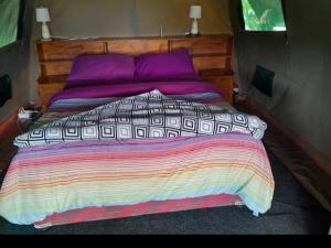 a bed with a colorful comforter and purple pillows at Camp Hogo Kavango in Rundu