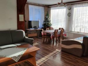 Una sala de estar con un árbol de Navidad y un sofá. en Agroturystyka Sielskie Góry, en Duszniki-Zdrój