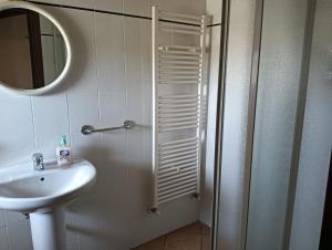 een badkamer met wastafel en douche met spiegel bij Agriturismo I Due Mondi in Montone +30 foto's