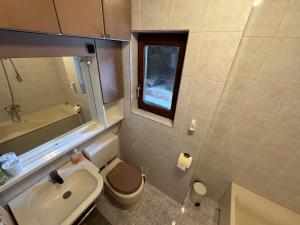 a small bathroom with a toilet and a sink at MaxDan Lodge in Kranjska Gora +13 photos