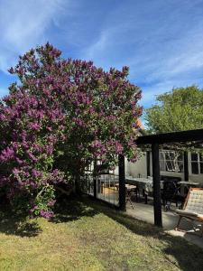 Imagen de la galería de Family-Friendly Villa In Quiet Neighbourhood, en Skagen 22 fotos más