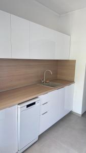Kuchyň nebo kuchyňský kout v ubytování Apartment Barbin