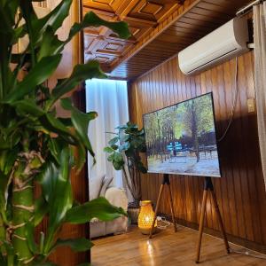 우드하우스 TV 또는 엔터테인먼트 센터