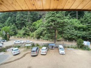 Příroda nedaleko hotelu