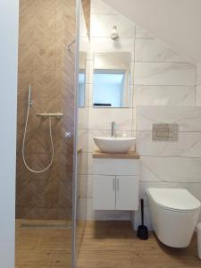 a bathroom with a shower and a sink and a toilet at Willa Kwidziński in Władysławowo +48 photos