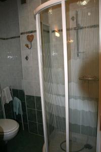 ein Bad mit einer Dusche und einem WC in der Unterkunft Hotel de l'Union in Lullin