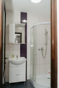 a bathroom with a sink and a shower at Pensiunea Bucur in Dămuc