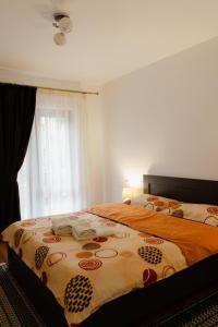 a bedroom with two beds and a window at Pensiunea Bucur in Dămuc