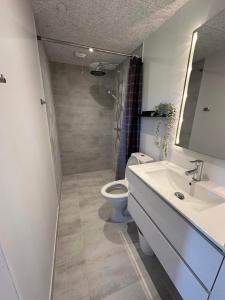 a bathroom with a sink and a toilet at Fishermans House Apartment 2 in Hirtshals +21 photos