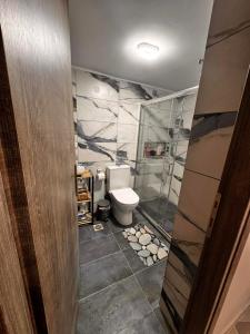 a bathroom with a toilet and a shower at PREVEZA DOWNTOWN garden in Preveza +50 photos