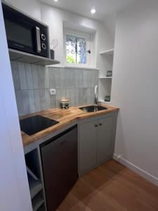 a small kitchen with a sink and a microwave at La petite maison de Boisrival in Bury