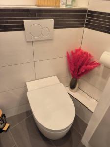 Ένα μπάνιο στο Ferienwohnung-Exclusiv