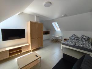 a living room with a bed and a tv and a couch at Apartament panorama in Ściegny