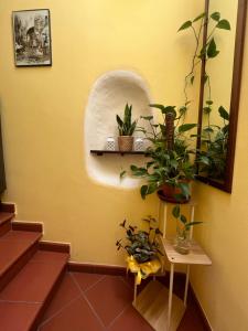 Fotografie z fotogalerie ubytování Notti Etrusche a Sovana v destinaci Sovana