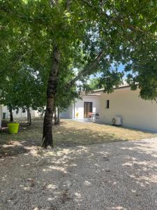 un arbre dans la cour d'une maison dans l'établissement Villa Détente, à Hourtin