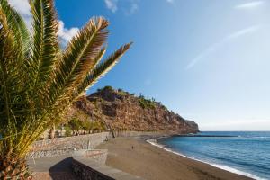 a beach with a palm tree and the ocean at Miramar 7 - San Sebastin de La Gomera in San Sebastián de la Gomera +18 photos
