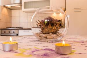 Fotografie z fotogalerie ubytování Apartments Nenich Aves v destinaci Žman