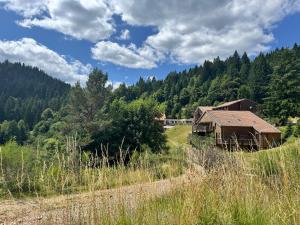 a barn in the middle of a field with trees at Appartement à La Bresse - cadre naturel et calme in La Bresse