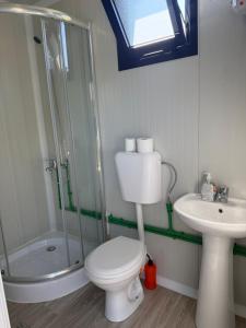a bathroom with a shower and a toilet and a sink at Kucice MMM in Donji Štoj +9 photos