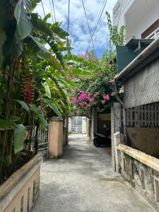 an alley with flowers and plants on the side of a building at Nhà Lười Homestay in Hue