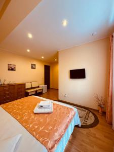 a bedroom with a bed and a tv on the wall at Vila Gabi in Buşteni