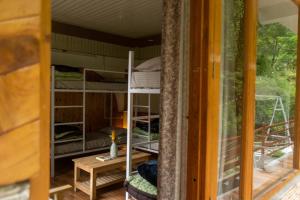 a room with bunk beds in it with a window at Tarzan Stays Jibhi in Shoja