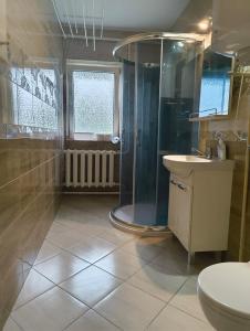 a bathroom with a shower and a sink and a toilet at Apartament 2pokojowy ,pokoje in Lubkowo