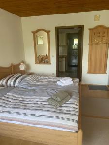 a bedroom with a large bed with a mirror at Ferienwohnungen Gebhard in Scheidegg