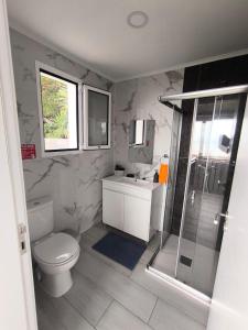 Un baño con inodoro, lavabo y ducha. en Tiny House, en Funchal 43 fotos más