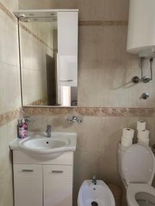 een badkamer met een wastafel, een toilet en een spiegel bij PARADISE Apartments in Dobrota +8 foto's