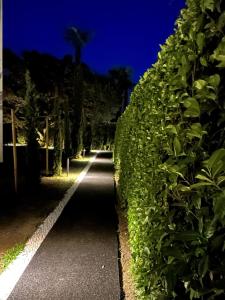 a row of hedges on a road at night at LA VILLA - by Hotel Remorino in Locarno