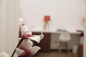 Fotografie z fotogalerie ubytování Essence v destinaci Barletta