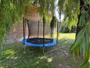 a trampoline in the grass under a tree at G&J fourmidables in Récourt