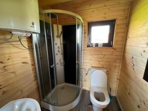een kleine badkamer met een douche en een toilet bij Domek nad jeziorem Jan, Giże in Giże +10 foto's